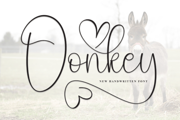 Donkey: The Handwritten Font for Modern Branding