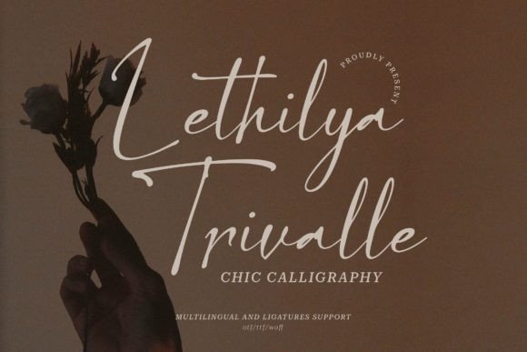 Lethilya Trivalle: Elevating Modern Design with Casual Chic Script