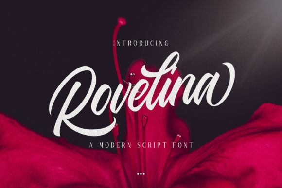 Rovelina: Elevating Design with Modern Script Typography