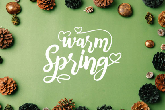 Warm Spring: A Script Font for Modern Elegance